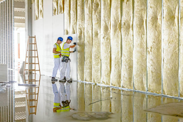 Best Eco-Friendly or Green Insulation Solutions  in Soquel, CA